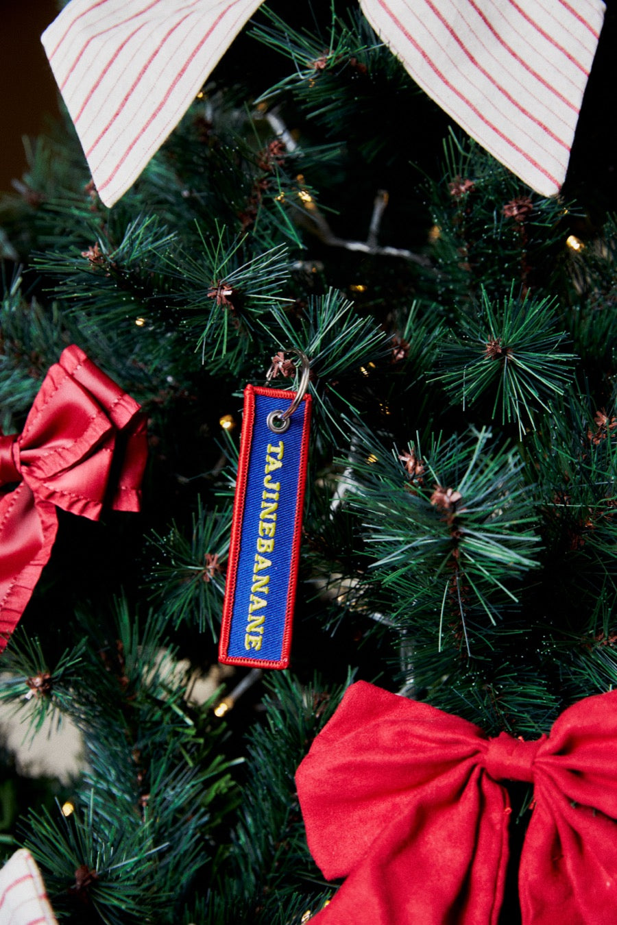 Tajinebanane Keychain