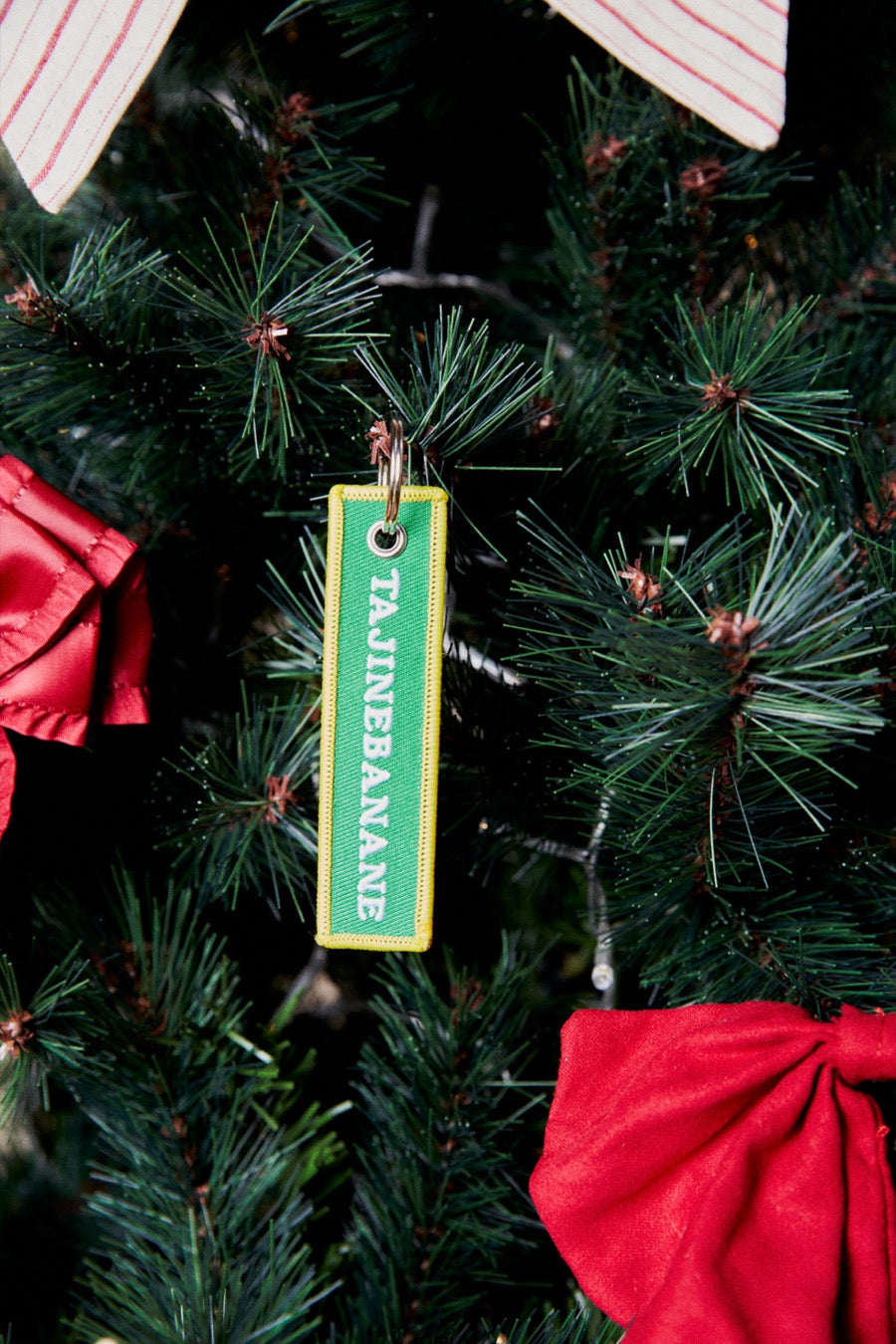 Tajinebanane Keychain