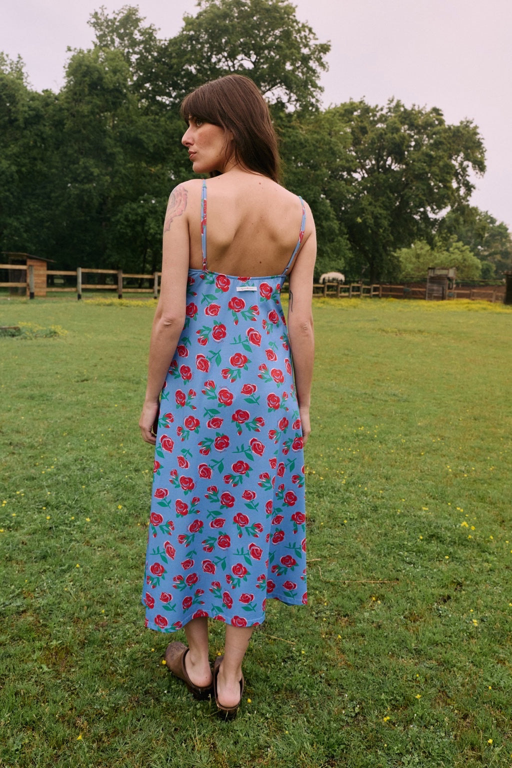 Blue Rose Breastfeeding Dress