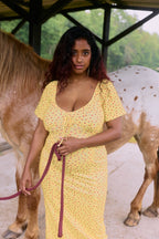Ranch Breastfeeding Dress